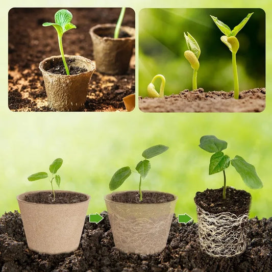 100pcs 10cm Flower Pots Peat Planting Pots Biodegradable Paper Cup For Plant Starter Starting Tray Gardening Supplies  ﻿